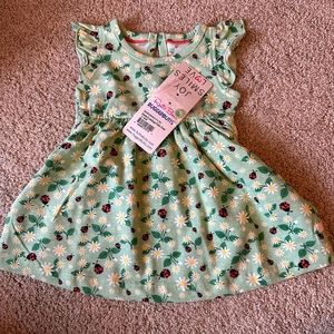 NWT Ruffle butts, baby 3-6m dress, ladybug